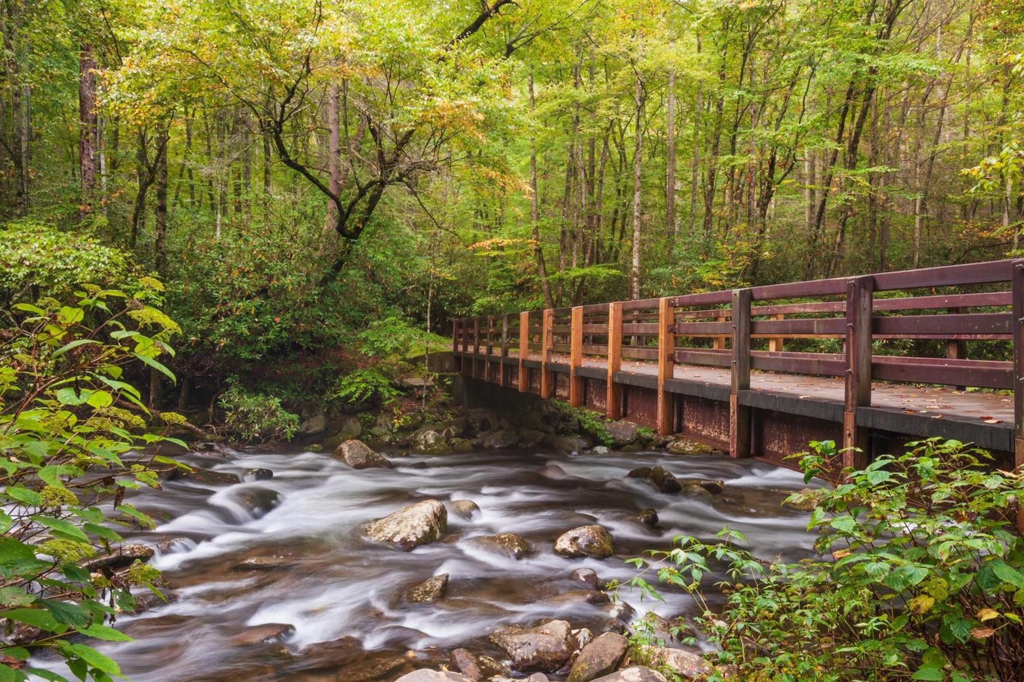 Three Bears Den, Hot Tub, Pool Table, Pool Access, 1089 Free Tickets Each Paid Day, Dollywood Inclu Vila Gatlinburg Exterior foto
